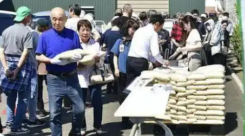 日本多地嚴(yán)重缺水 水稻產(chǎn)區(qū)面臨“新米危機”