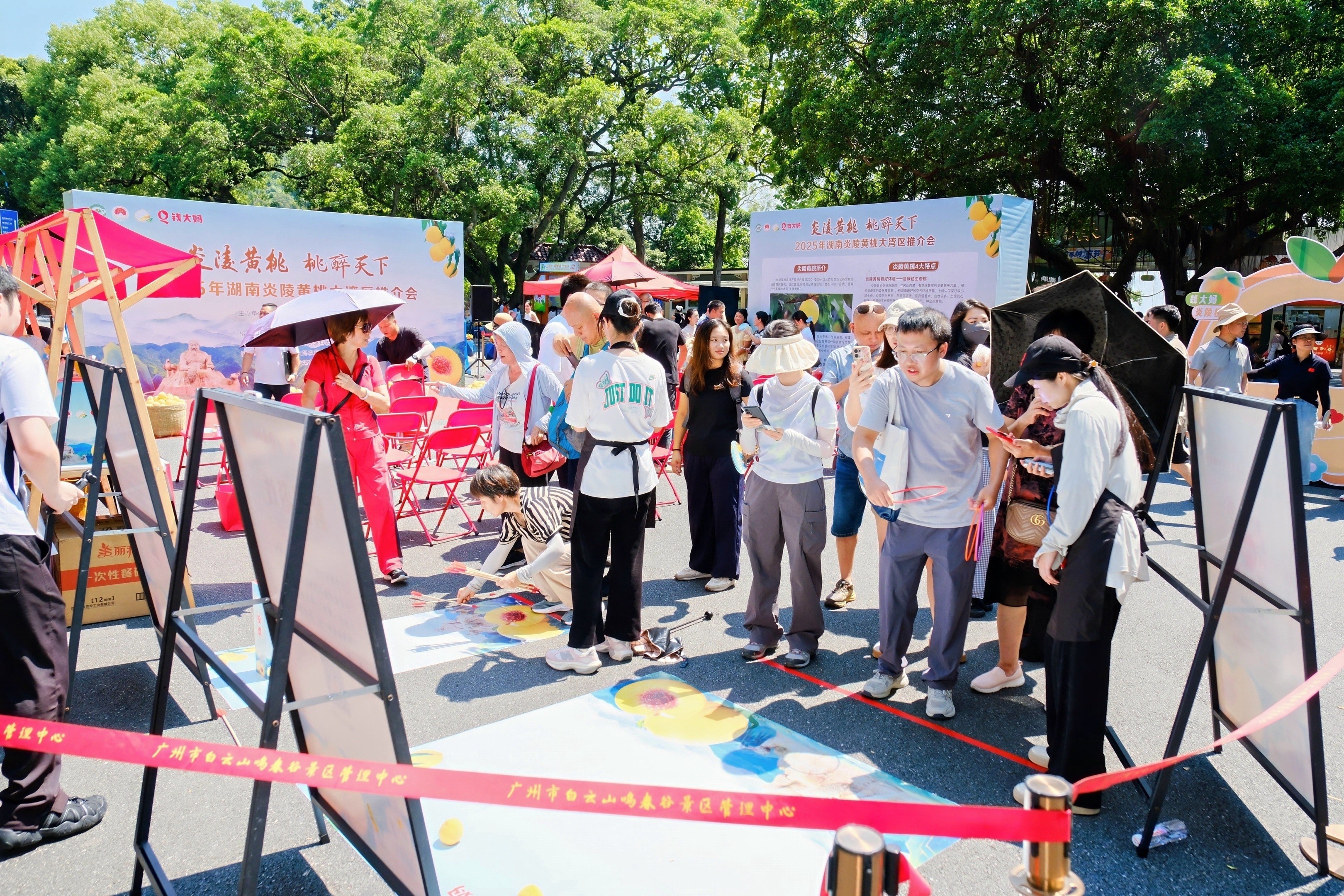 1753668204909498.jpg 1753668204909498.jpg