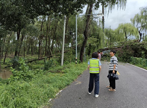 1753842975312190.png 1753842975312190.png