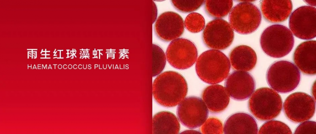 中外科學(xué)家研究力證：天然蝦青素為糖尿病防治提供科學(xué)支撐