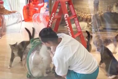 突破8114億元！科技重塑“它經(jīng)濟(jì)” “毛孩子”情感消費(fèi)撬動(dòng)經(jīng)濟(jì)新支點(diǎn)