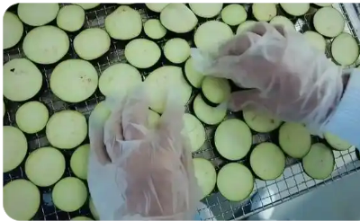 黑龍江拜泉：立足生態(tài)優(yōu)勢(shì)推動(dòng)農(nóng)業(yè)產(chǎn)業(yè)提質(zhì)增效