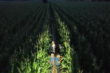 應(yīng)對(duì)高溫干旱 多地科學(xué)調(diào)度水源 強(qiáng)化田間管理 抗旱保豐收