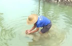 小小螺螄從田間到餐桌 撬動(dòng)廣西柳州吃螺大產(chǎn)業(yè)