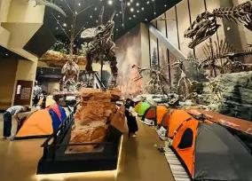 夜宿博物館一票難求 火爆的背后面臨哪些挑戰(zhàn)？