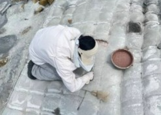 見(jiàn)微知筑團(tuán)隊(duì)發(fā)起島礁護(hù)岸工程的綠色“革命”