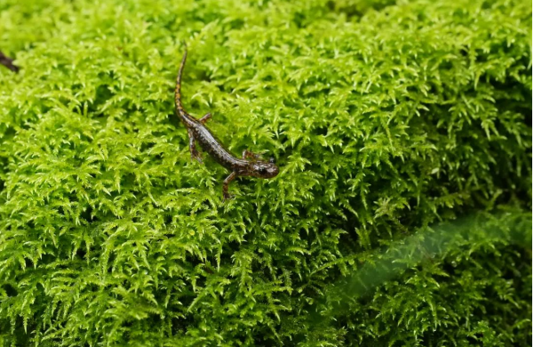 20250811154916322.png 20250811154916322.png