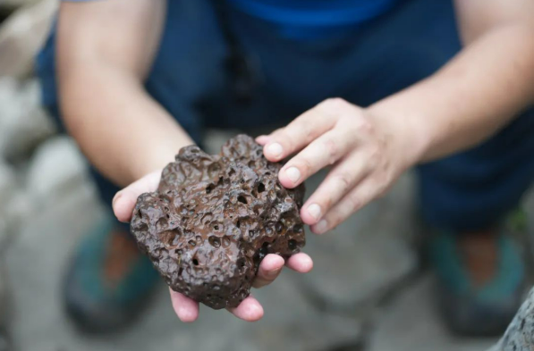 20250811154936663.png 20250811154936663.png