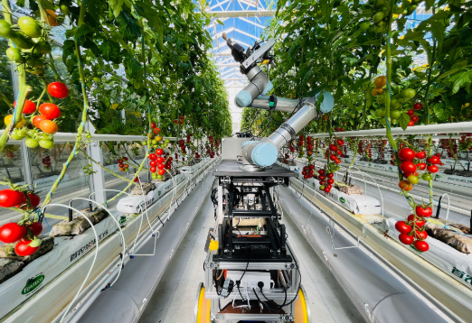 全球首臺全流程智能育種機(jī)器人亮相