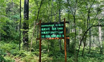 伊春森工集團：新質生產力讓老林區(qū)發(fā)出“新根芽”