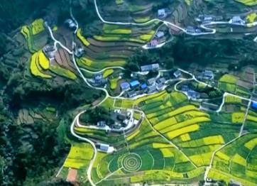 我國成為全球增綠最多最快的國家