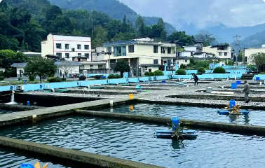 四川三地協(xié)作聯(lián)動助推設(shè)施漁業(yè)與大水面生態(tài)漁業(yè)發(fā)展