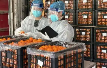 云南果蔬“綠色通道”蓄力撬動東盟市場