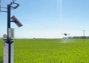 主產(chǎn)區(qū)科學(xué)推進(jìn)田管 秋糧生產(chǎn)總體順利