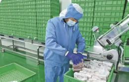 青海農(nóng)產(chǎn)品質(zhì)檢體系實現(xiàn)涉農(nóng)區(qū)域全覆蓋