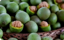 山西臨汾25個(gè)農(nóng)產(chǎn)品地理標(biāo)志成功通過轉(zhuǎn)化認(rèn)定