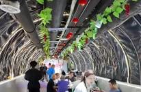 “清涼經(jīng)濟”乘“熱”而上 熱產品、暖服務將“涼資源”變成“熱錢流”