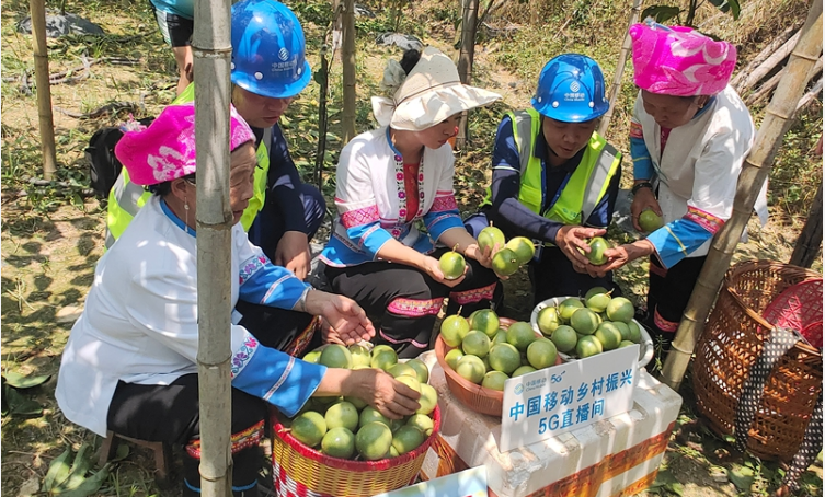 從瑤寨到邊境，中國移動十年電信普遍服務(wù)助城鄉(xiāng)蝶變