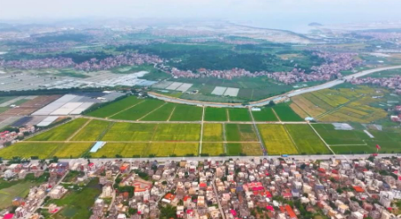 科技扎根田野間 多地探索農(nóng)業(yè)高質(zhì)量發(fā)展新路徑