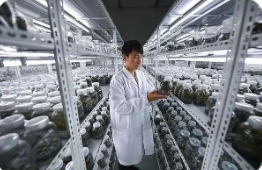 浙江已累計(jì)培育“農(nóng)創(chuàng)客”超9.4萬名 農(nóng)創(chuàng)大賽激發(fā)創(chuàng)新創(chuàng)業(yè)新活力