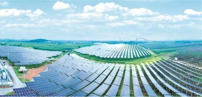 廣投集團結(jié)合產(chǎn)業(yè)發(fā)展 賦能鄉(xiāng)村振興