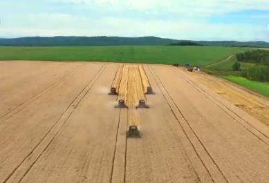 “科學(xué)化管理+技術(shù)創(chuàng)新”助力增產(chǎn)增效 希望的田野處處好“豐”光