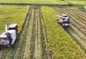 巡檢機(jī)器人、無(wú)人化工廠……解鎖農(nóng)業(yè)“智”管新范式 科技賦能好“豐”景