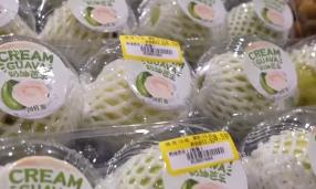 “甜蜜產(chǎn)業(yè)”出?！瓣J世界”圈粉無數(shù) 透過大數(shù)據(jù)解鎖消費(fèi)新趨勢