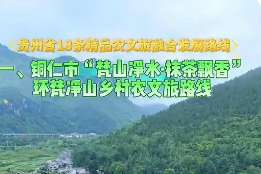 粵黔協作發(fā)布18條鄉(xiāng)村農文旅特色路線