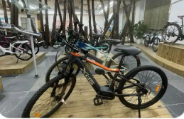 去年我國自主品牌的中高檔自行車銷售額增長20%