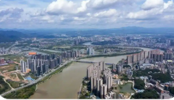 稅收數據顯示：廣東縣域經濟呈現多方面亮點