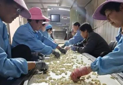 山西曲沃：綠色金融“智”造力激活產業(yè)新引擎