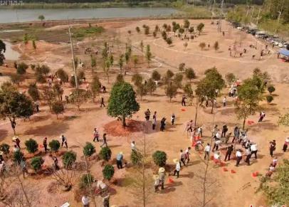 廣東建立30個省級“互聯(lián)網(wǎng)+全民義務植樹”基地