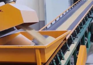 最新數(shù)據(jù)顯示：全國(guó)小麥?zhǔn)召?gòu)量超1億噸