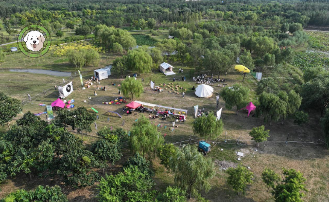 秋日旋律，人寵同歡 2025天津「熊孩兒·音樂森友會」盛大啟幕