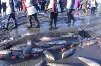 黑龍江佳木斯：冷水魚(yú)“鮮”行全國(guó)