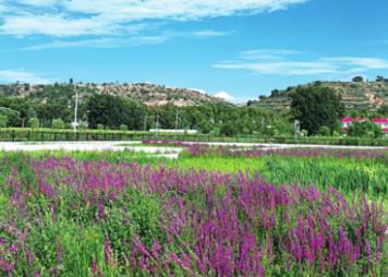 科技賦能黃河治理 山西譜寫(xiě)“一泓清水入黃河”新篇章