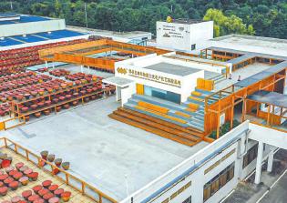 四川如何玩轉(zhuǎn)“工業(yè)＋文旅”？