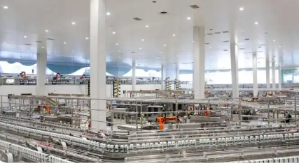 AI驅(qū)動(dòng)“云”上布局 伊利基于“阿里云+AI”打造乳業(yè)全鏈數(shù)智化