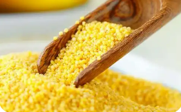 有機農(nóng)業(yè)托起金色希望 遼寧朝陽走出有機產(chǎn)品帶動雜糧產(chǎn)業(yè)興旺新路徑