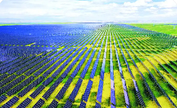 青海印發(fā)方案力推出口型企業(yè)綠色低碳轉(zhuǎn)型