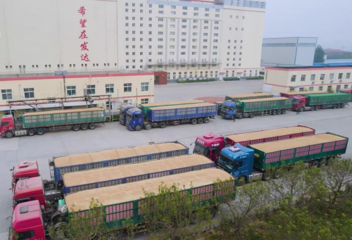 農(nóng)發(fā)行夏津縣支行：精準服務(wù)政協(xié)委員企業(yè)，信貸資金助力夏糧收購