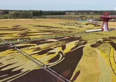 淄博→爾濱→天水 “網(wǎng)紅城市”“火爆出圈”后如何“四季長紅”？