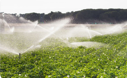 我國(guó)耕地灌溉面積達(dá)10.86億畝 生產(chǎn)全國(guó)超80%糧食