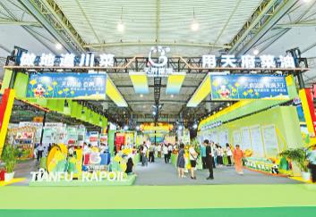 推動(dòng)川油飄香四海  “天府菜油”引領(lǐng)四川糧油產(chǎn)業(yè)加速崛起