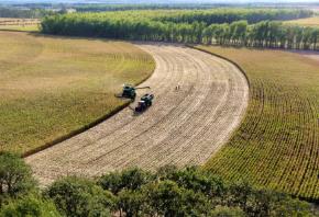 希望的田野 豐收的禮贊——寫在第八個(gè)“中國(guó)農(nóng)民豐收節(jié)”