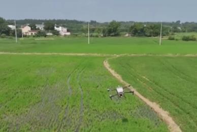 機(jī)械滿田飛！“最酷新農(nóng)人”玩轉(zhuǎn)新農(nóng)具 “云端運(yùn)輸”成秋收標(biāo)配“小助手”