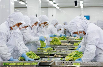 政策定調(diào) 標(biāo)準(zhǔn)護(hù)航 認(rèn)識提升  預(yù)制菜產(chǎn)業(yè)高質(zhì)量發(fā)展當(dāng)跨“三重門”