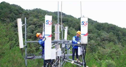 數(shù)字筆墨繪青綠 福建電信以科技守護(hù)綠水青山