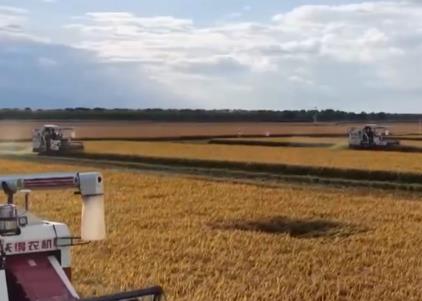 沃野金黃、瓜果飄香、漁獲滿倉(cāng)鋪展喜人“豐”景 “科技+”讓農(nóng)業(yè)向“智”而行
